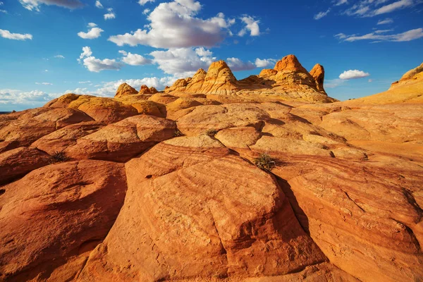 Coyote Buttes Della Vermillion Cliffs Wilderness Area Utah Arizona — Foto Stock