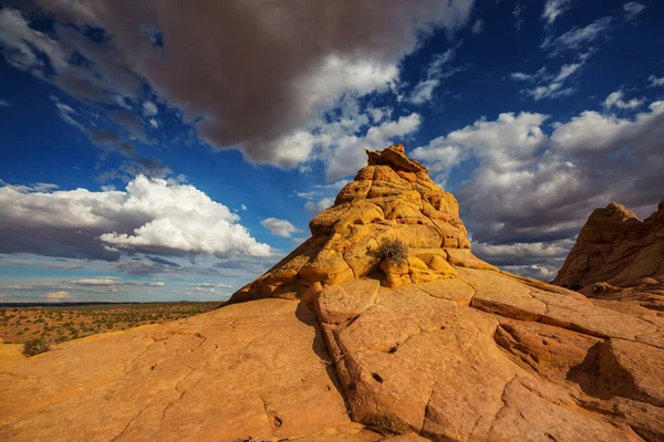 Coyote Buttes Vermillion Útesy Wilderness Oblasti Utah Arizona — Stock fotografie