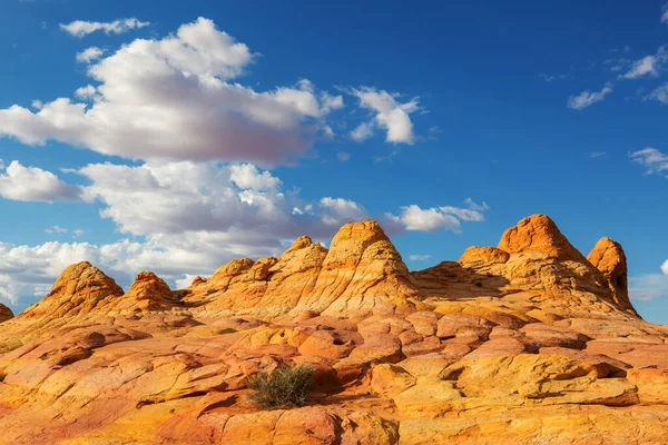 Coyote Buttes Della Vermillion Cliffs Wilderness Area Utah Arizona — Foto Stock