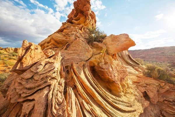 Coyote Buttes Vermillion Útesy Wilderness Oblasti Utah Arizona — Stock fotografie