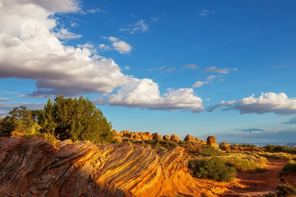 Coyote Buttes Der Vermillion Cliffs Wilderness Area Utah Und Arizona — Stockfoto