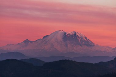 Mount Rainier Ulusal Parkı, Washington