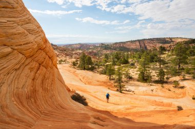 Utah dağlarında yürüyüş. Alışılmadık doğal manzaralarda yürüyüş. Fantastik kumtaşı oluşumları.
