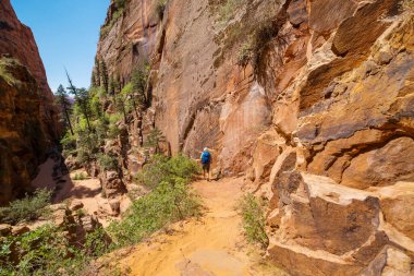 Utah dağlarında yürüyüş. Alışılmadık doğal manzaralarda yürüyüş. Fantastik kumtaşı oluşumları.