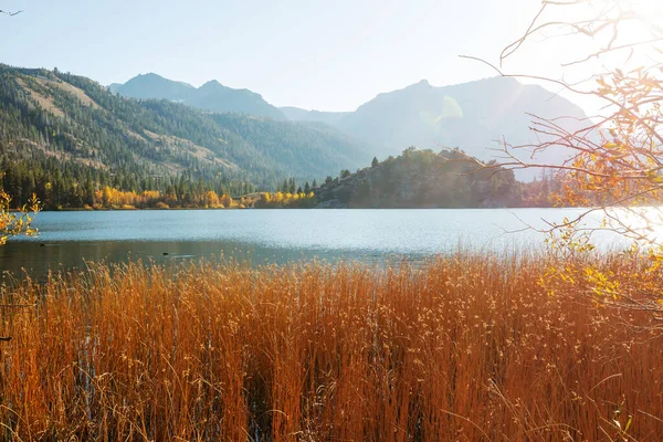 Krásné Jezero Podzimní Sezóně — Stock fotografie