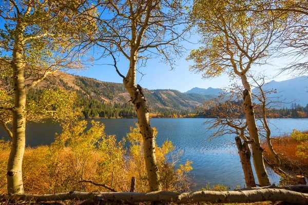 Der Schöne See Der Herbstsaison — Stockfoto