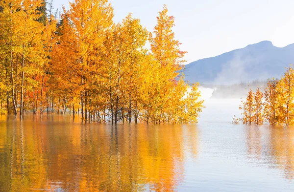 Krásné Jezero Podzimní Sezóně — Stock fotografie