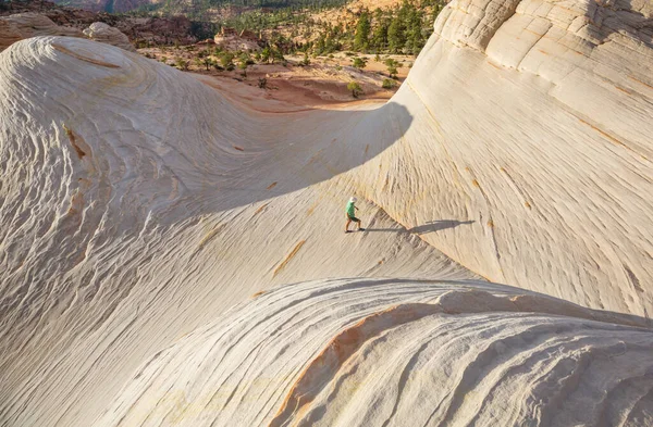 在犹他州的山上远足 在不寻常的自然景观中远足 奇形怪状砂岩地层 — 图库照片
