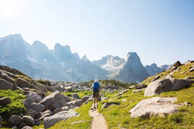 Yüksek dağlarda yürüyüş yapan bir gezgin.