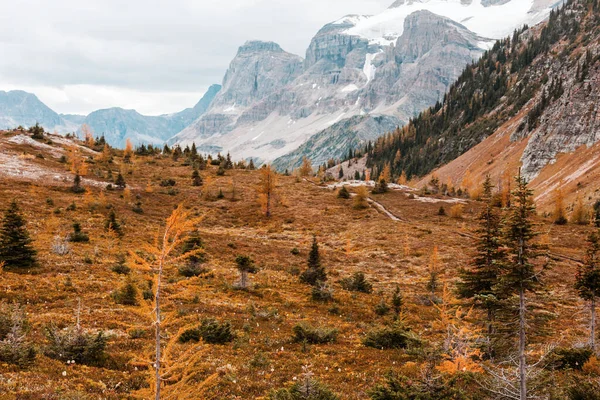 Όμορφη Φθινοπωρινή Εποχή Στα Βουνά Του Καναδά Υπόβαθρο Πτώσης — Φωτογραφία Αρχείου
