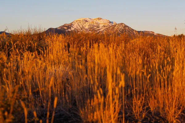 山の中でカラフルな秋の牧草地 自然背景 — ストック写真