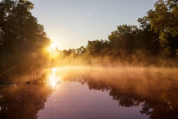 Unusual River Fog Summer Season — Stock Photo, Image