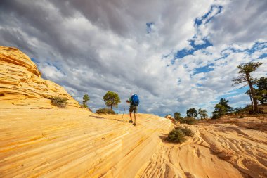 Utah dağlarında yürüyüş. Alışılmadık doğal manzaralarda yürüyüş. Fantastik kumtaşı oluşumları.