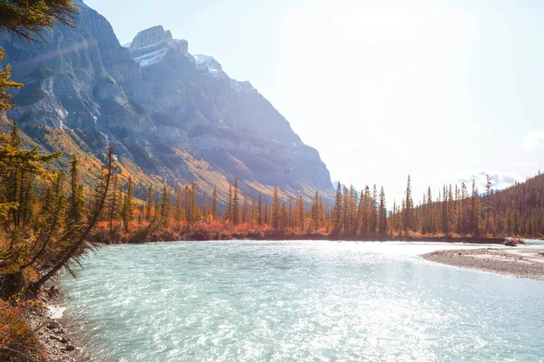 Bela Temporada Outono Nas Montanhas Canadenses Fundo Queda — Fotografia de Stock