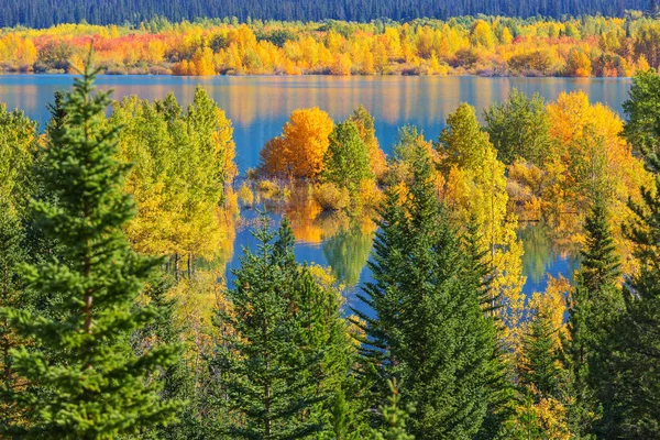 Bellissimo Lago Autunno Stagione — Foto Stock