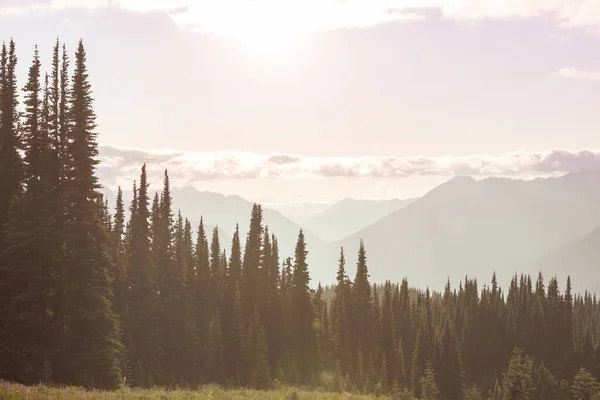 Prachtige Bergtop North Cascade Range Washington Verenigde Staten — Stockfoto