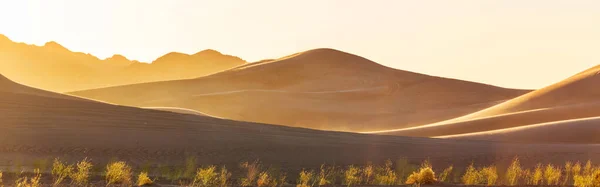 Scenic Zandduinen Woestijn Natuurlijke Achtergrond — Stockfoto