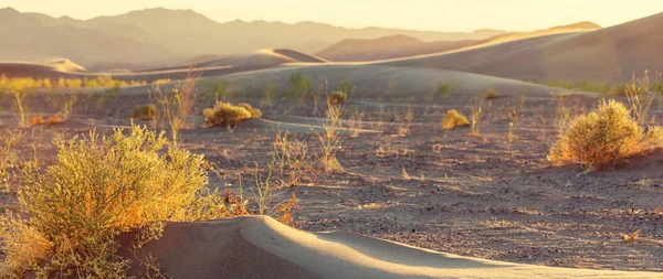 Unberührte Sanddünen Der Abgelegenen Wüste — Stockfoto