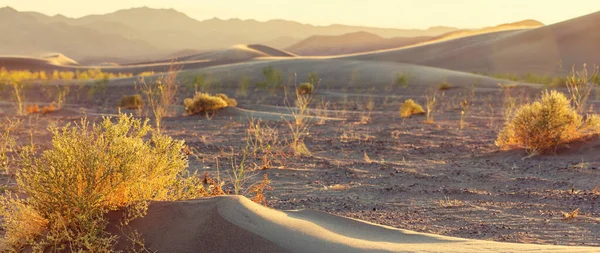 Unspoiled Sand Dunes Remote Desert — Stock Photo, Image