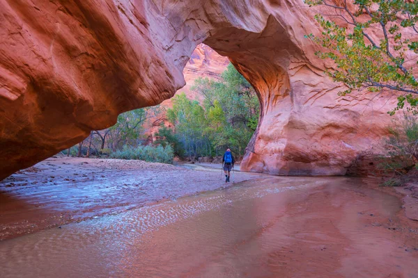Hike Coyote Gulch Grand Staircase Escalante National Monument Юта Сша — стоковое фото