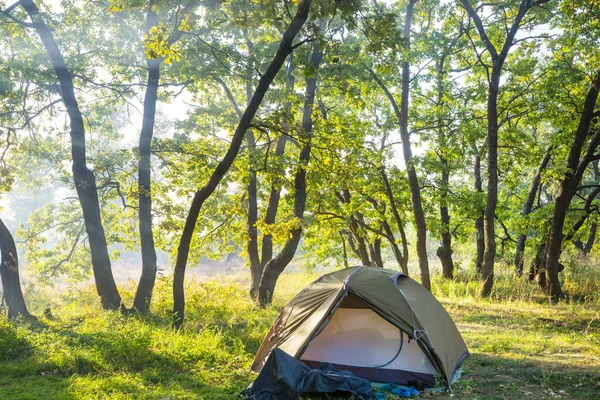 Moderna Tenda Turistica Appesa Tra Gli Alberi Nella Foresta Verde — Foto Stock