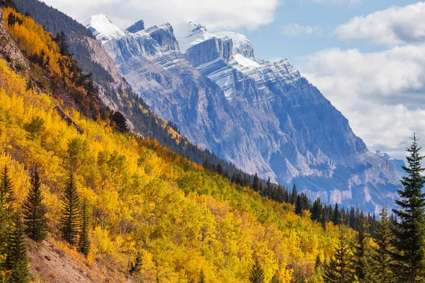 Bela Temporada Outono Nas Montanhas Canadenses Fundo Queda — Fotografia de Stock