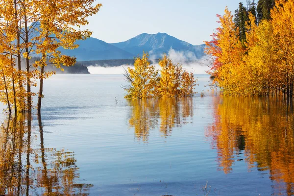 Прекрасне Озеро Осінній Сезон — стокове фото