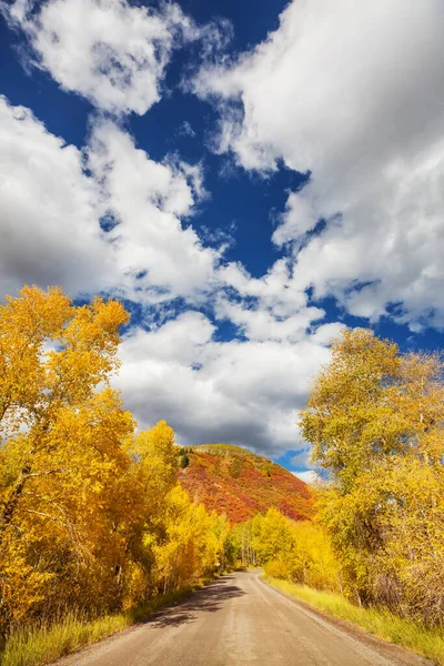 Colorata Scena Autunnale Sulla Strada Campagna Nella Foresta — Foto Stock