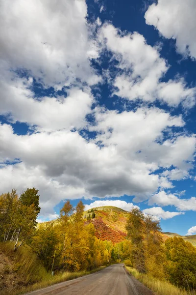 Colorida Escena Otoño Camino Rural Bosque — Foto de Stock