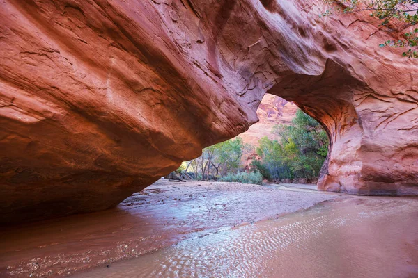 Caminata Coyote Gulch Grand Staircase Escalante National Monument Utah Estados — Foto de Stock