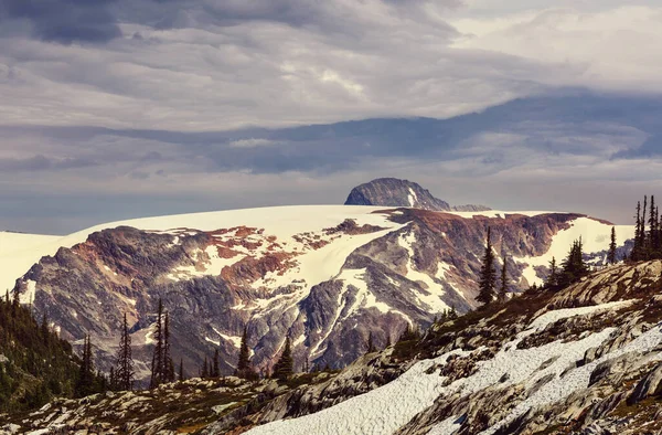 Γραφική Θέα Στο Βουνό Στο Canadian Rockies Κατά Θερινή Περίοδο — Φωτογραφία Αρχείου