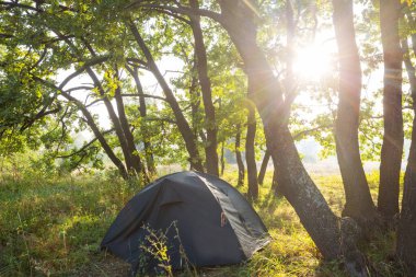 Yeşil ormandaki ağaçların arasında asılı modern turist çadırı