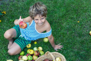 Küçük çocuk bahçedeki sonbahar hasadını topluyor.