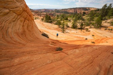 Utah dağlarında yürüyüş. Alışılmadık doğal manzaralarda yürüyüş. Fantastik kumtaşı oluşumları.
