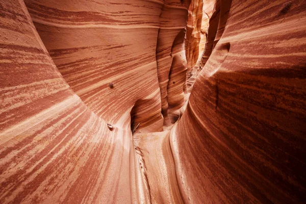 Slot Canyon Grand Staircase Escalante Nationalpark Utah Usa Ungewöhnlich Bunte — Stockfoto