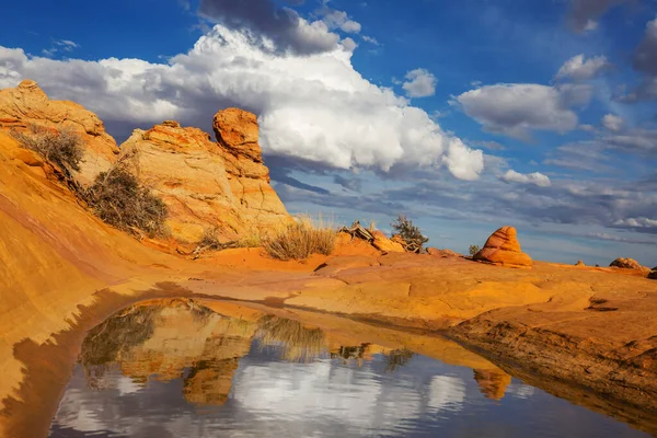 Coyote Buttes Der Vermillion Cliffs Wilderness Area Utah Und Arizona — Stockfoto