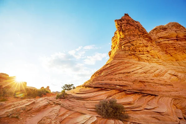 Coyote Buttes Della Vermillion Cliffs Wilderness Area Utah Arizona — Foto Stock