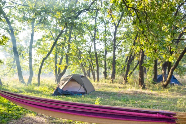 Tienda Turística Moderna Colgando Entre Árboles Bosque Verde —  Fotos de Stock