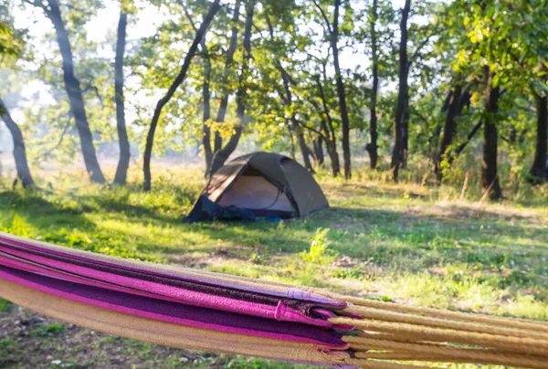 Modernt Turisttält Som Hänger Mellan Träd Grön Skog — Stockfoto