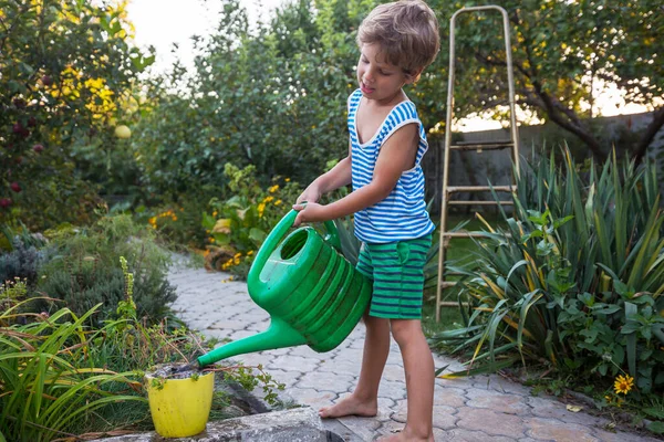 Niño Está Cosechando Cosecha Otoño Jardín — Foto de Stock