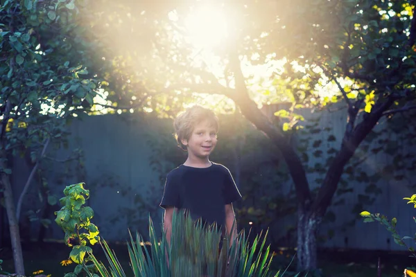 Küçük çocuk bahçedeki sonbahar hasadını topluyor.