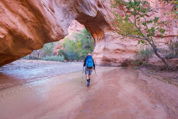 Výlet Coyote Gulch Grand Národního Monumentu Escalante Schodiště Utah Spojené — Stock fotografie