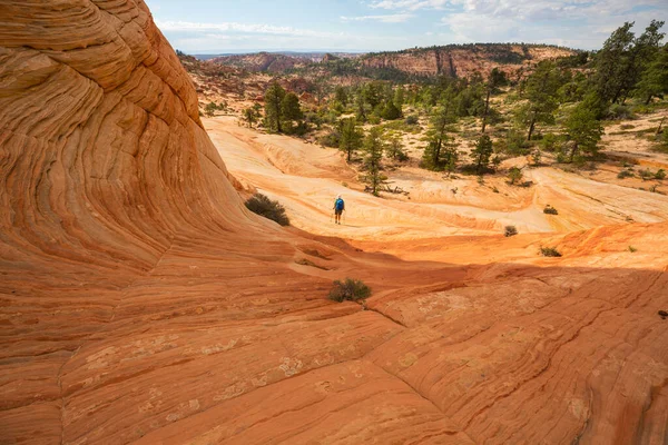 Utah dağlarında yürüyüş. Alışılmadık doğal manzaralarda yürüyüş. Fantastik kumtaşı oluşumları.