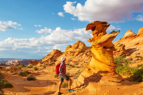 Buttes Coiote Das Falésias Vermillion Wilderness Area Utah Arizona — Fotografia de Stock