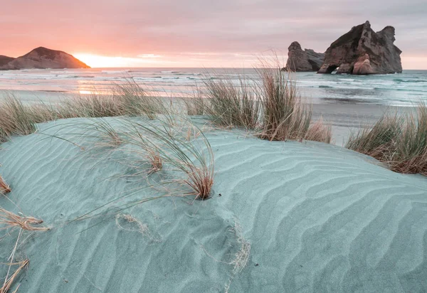 Piaszczysta Wydma Plaży Pacyfiku Nowa Zelandia — Zdjęcie stockowe