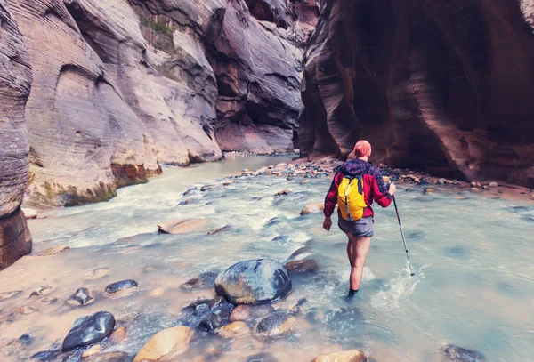 Estreitos Parque Nacional Zion Utah — Fotografia de Stock