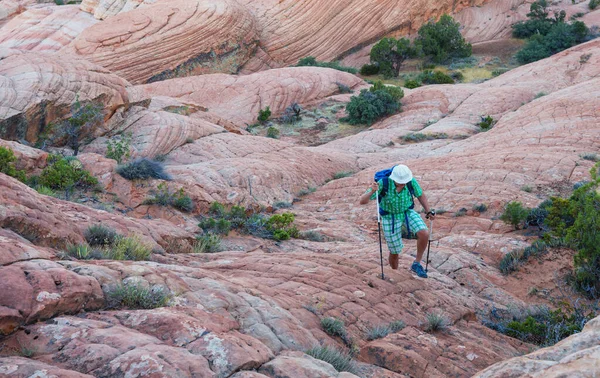 Caminhada Nas Montanhas Utah Caminhadas Paisagens Naturais Incomuns Formas Fantásticas — Fotografia de Stock