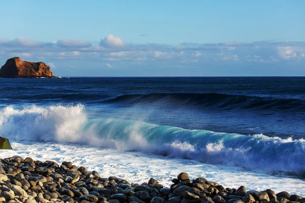 Madeira sahil — Stok fotoğraf