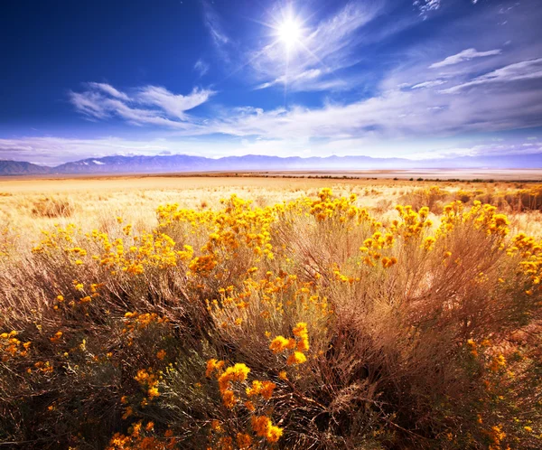 Prairie landschappen — Stockfoto