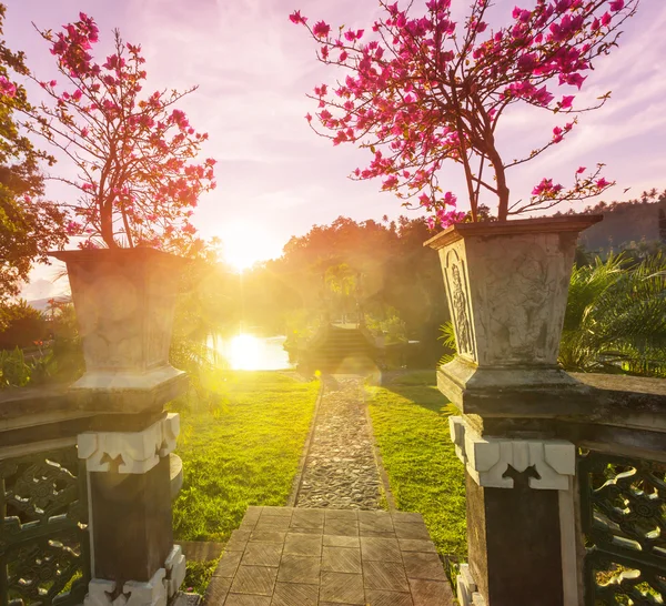 Jardim ao pôr do sol — Fotografia de Stock